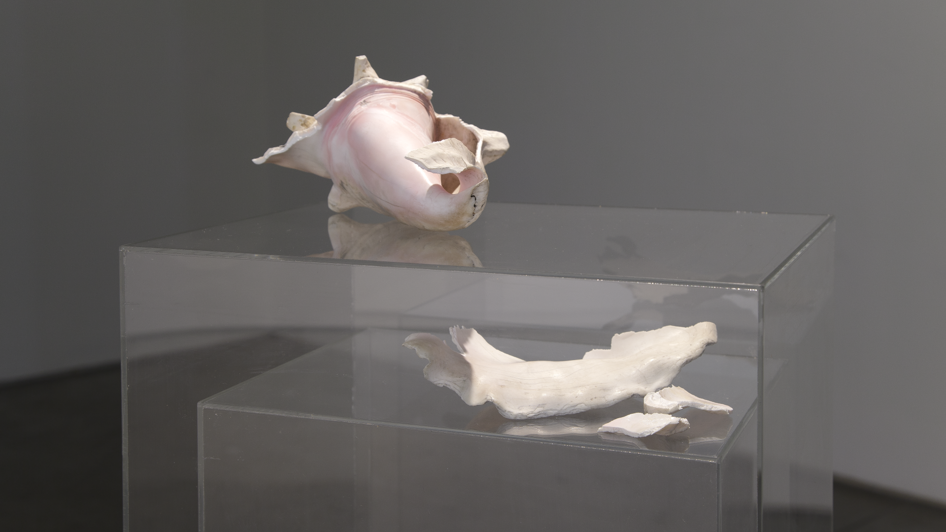 전시 이미지
