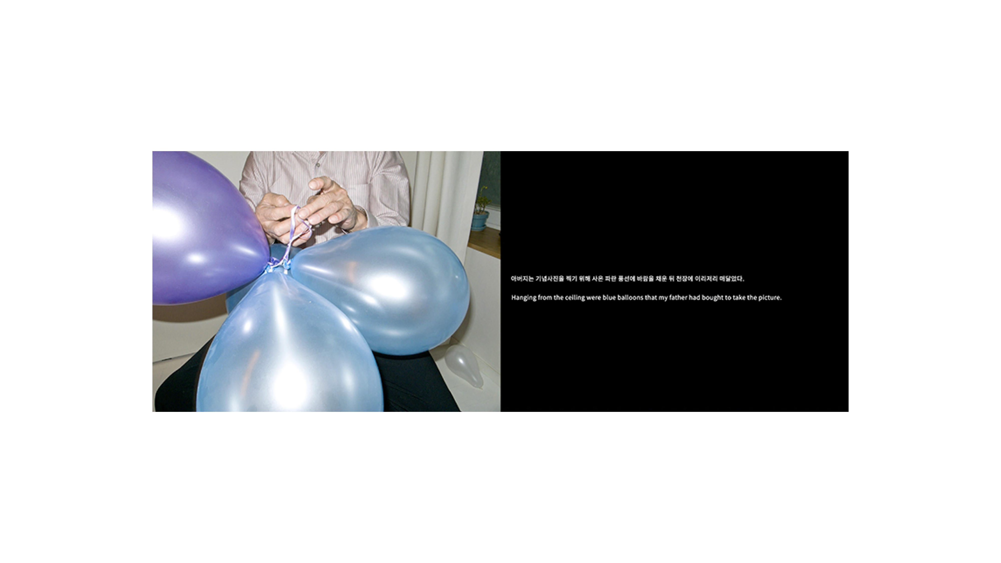전시 이미지