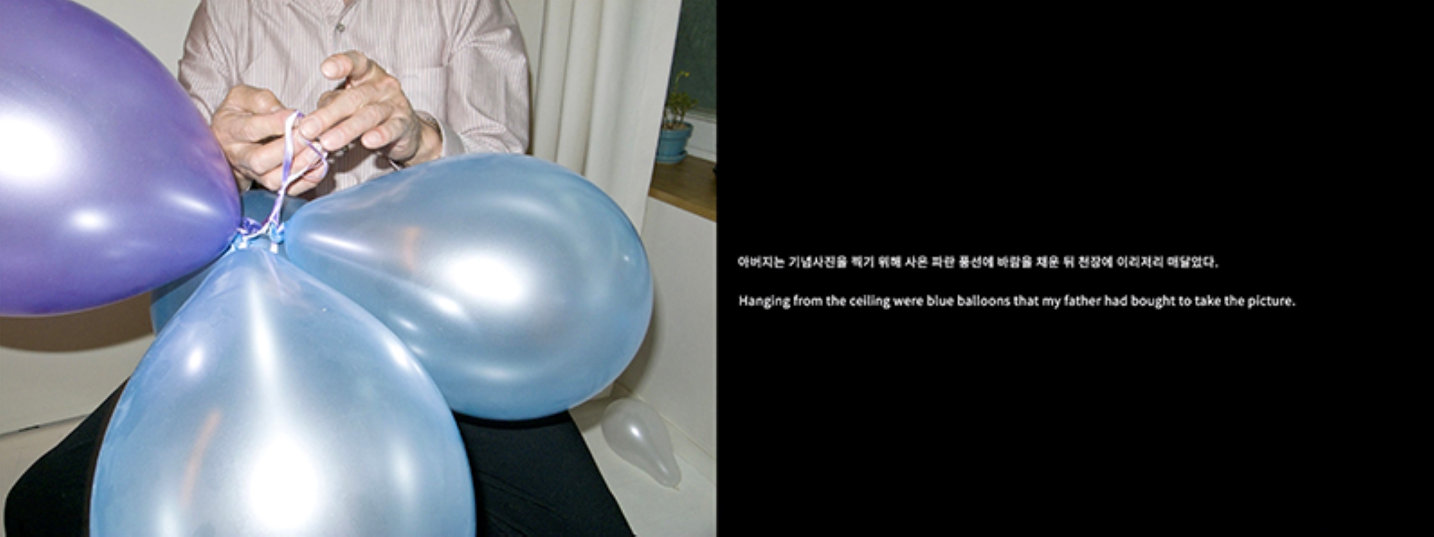 전시 이미지